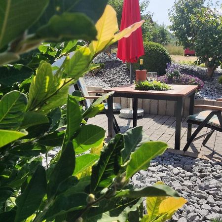 Ferienwohnung Moselzeit Alken Εξωτερικό φωτογραφία