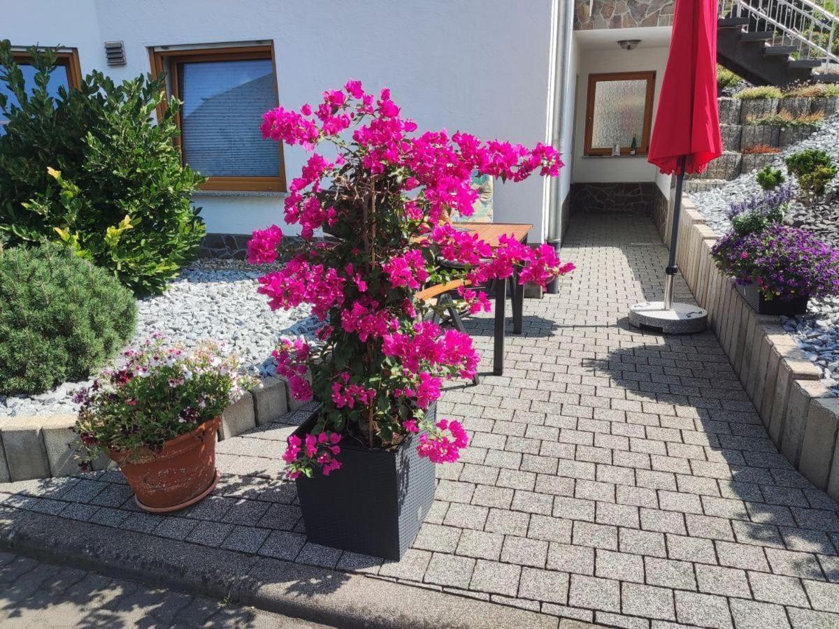 Ferienwohnung Moselzeit Alken Εξωτερικό φωτογραφία